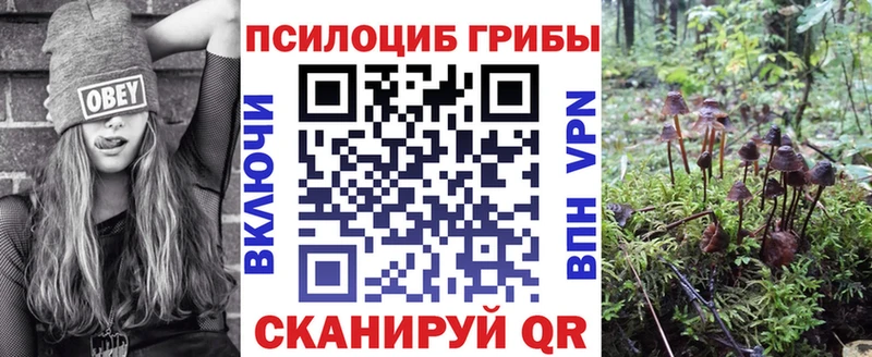 kraken маркетплейс  Новая Усмань  Псилоцибиновые грибы Psilocybine cubensis 